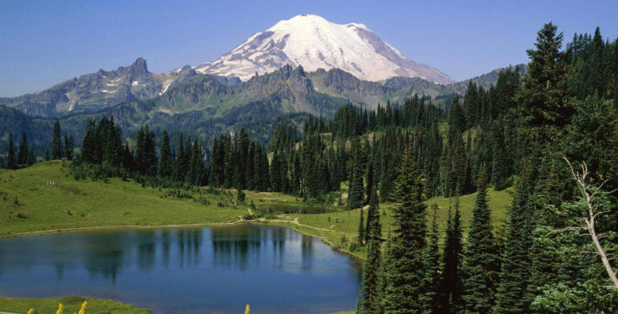 上海泽宇智能科技有限公司轮播图5